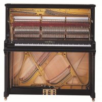 Nowy, Schimmel, K 132 Tradition