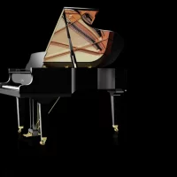 Nuovo, Schimmel, W 206 Tradition