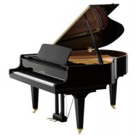 New, Kawai, GL-20