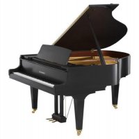 Nuovo, Kawai, GL-30