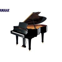 Used, Yamaha, C5