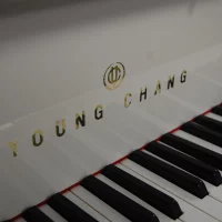 Gebraucht, Young Chang, G-185