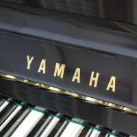 Usado, Yamaha, U10B