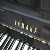 Używany, Yamaha, U10B