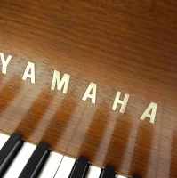 Used, Yamaha, G2
