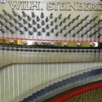 New, Wilh. Steinberg, S-125