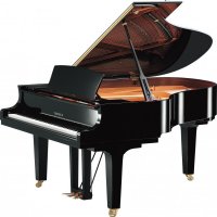 New, Yamaha, C2X