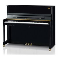 Neu, Kawai, K-300 AURES