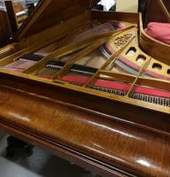 Used, Pleyel, Other