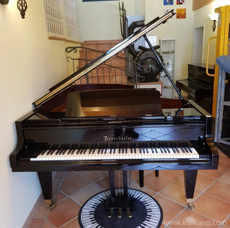 Usado, Bosendorfer, 225