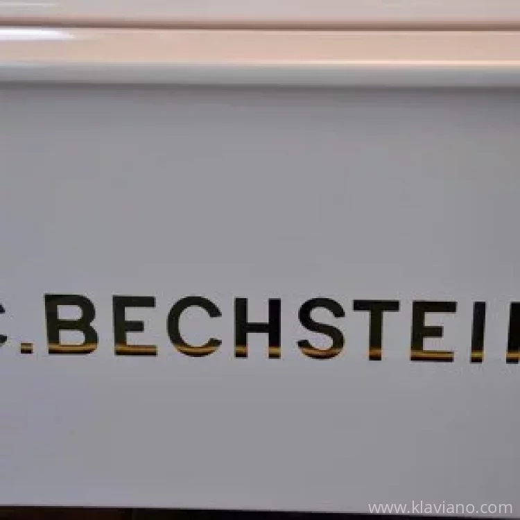 Used, C. Bechstein, B 203