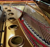 YAMaHA CFX 2ème génération - nouveau piano à queue master concert 275 cm