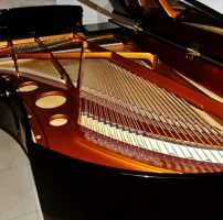 Gebruikte, Bosendorfer, 225