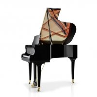 Nuovo, Schimmel, C 213 Tradition