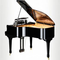 Nuevo, Shigeru Kawai, SK-6