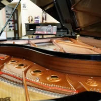 Yamaha Dgb1k Enst Pe - Disklavier Enspire grand piano 151 cm