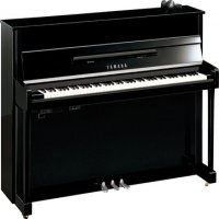 New, Yamaha, b2E SC2