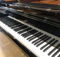Bosendorfer 230vc Master concert grand piano 230 cm