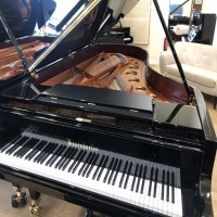 Bosendorfer 230vc mistrzowski fortepian koncertowy 