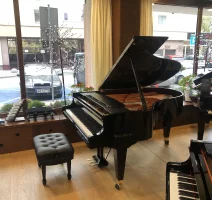 New, Bosendorfer, 185VC