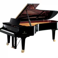 Nowy, Yamaha, CFX