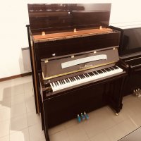 Schulze Pollmann Upright pianos for sale near you Price and model list