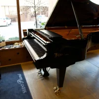 Bosendorfer 280vc - brand new, master concert grand piano