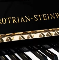 New, Grotrian Steinweg, Classic (124)