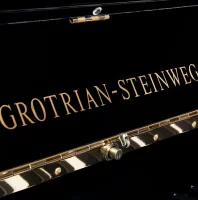 Nya, Grotrian Steinweg, Concertino (132)