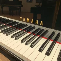 Used, Yamaha, C2
