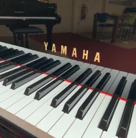 Occasion, Yamaha, C7