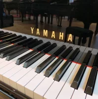 Używany, Yamaha, C7