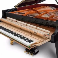 New, Bosendorfer, 200