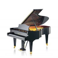 Nieuw, C. Bechstein, B 212