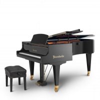 Nowy, Bosendorfer, 225