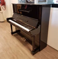 Gebruikte, Yamaha, U3H