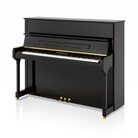 Nuovo, C. Bechstein, A 124 (B 124) Imposant