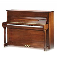 Nuevo, C. Bechstein, Contur 118