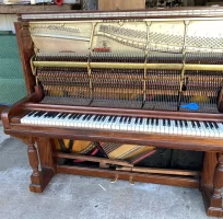 Används, Steinway & Sons, Extra Style (142)