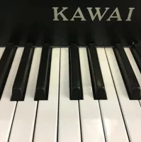 Usato, Kawai, EP308