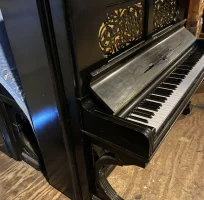 Used, Steinway & Sons, Extra Style (142)