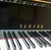 Used, Yamaha, G3