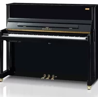 Nieuw, Kawai, K-300 AURES