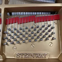 Używany, Steinway & Sons, M-170