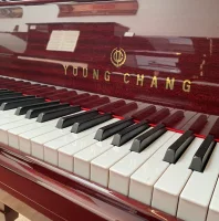 Used, Young Chang, G-185