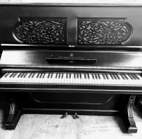 Used, Steinway & Sons, Extra Style (142)