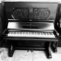 Occasion, Steinway & Sons, Extra Style (142)
