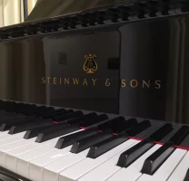 Usato, Steinway & Sons, D-274