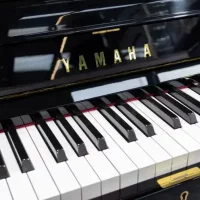 Gebraucht, Yamaha, YUS1