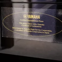 Används, Yamaha, U1A
